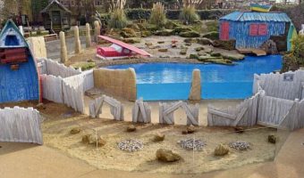 chessington-penguin